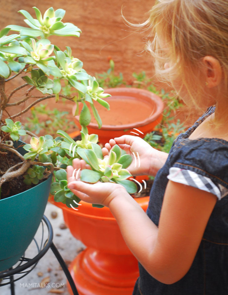Little girl touching a succulent