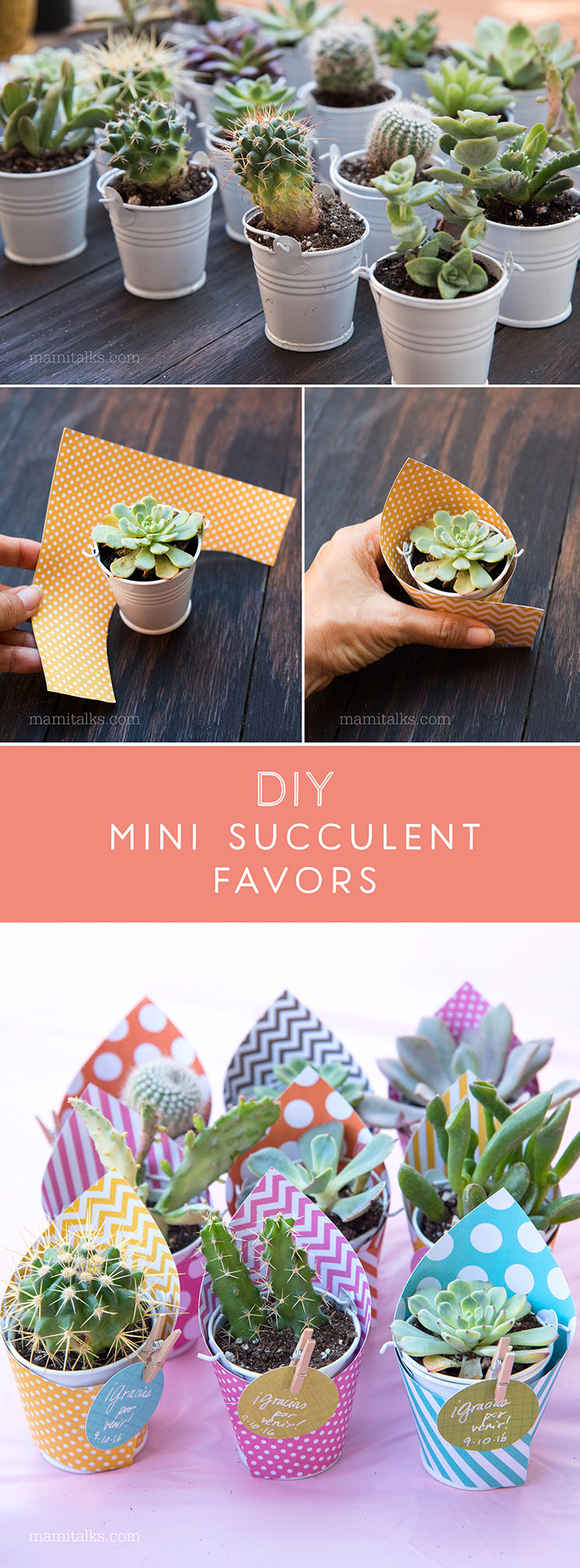 DIY mini succulent and cactus favors, step-by-step photos and group photos. -MamiTalks.com