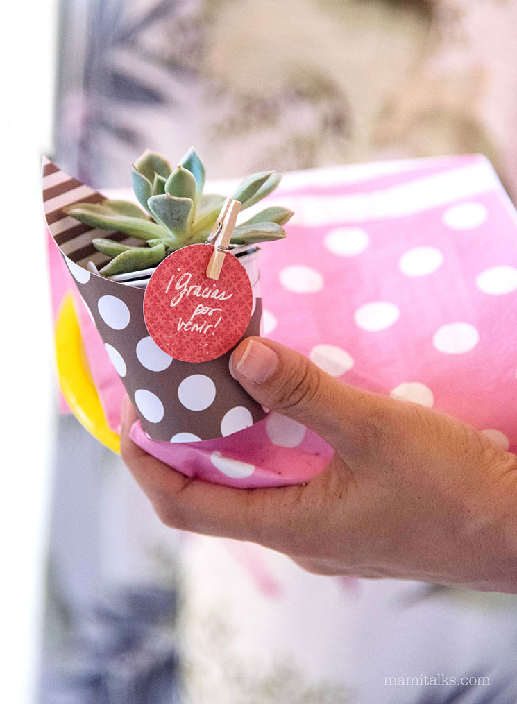 A hand holding a mini succulent favor from a baby shower. -MamiTalks.com