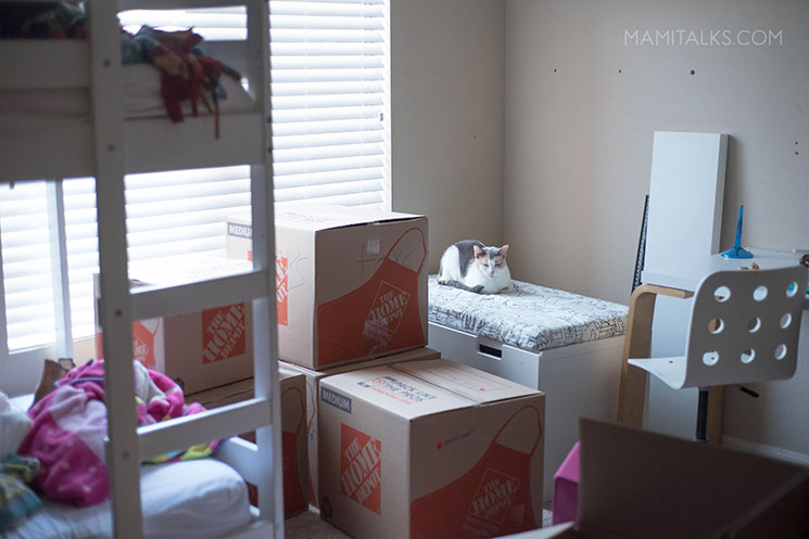 Room with boxes and a cat -MamiTalks.com