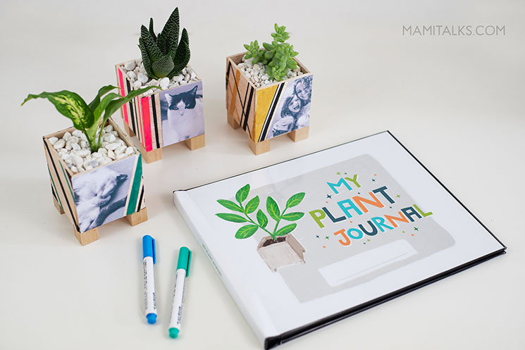 Planters and plant journal on desk. mamiTalks.com