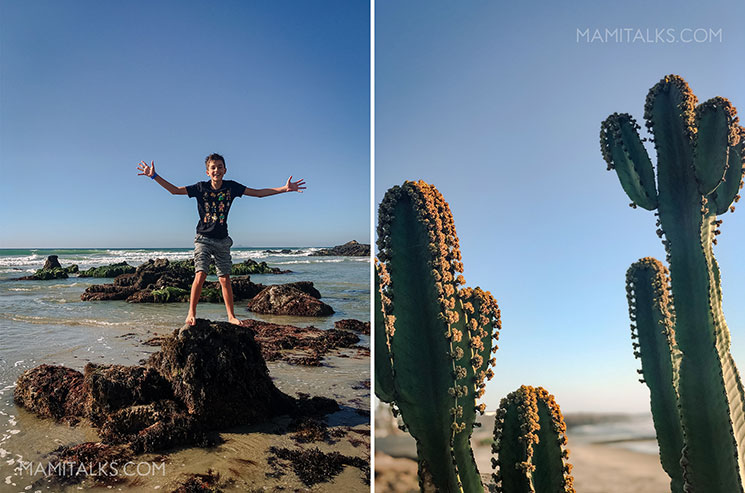 Cactus y niño sobre rocas en la playa. -MamiTalks.com